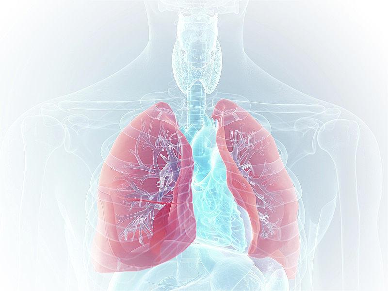 電子支氣管鏡：未來呼吸系統疾病的診斷與治療利器