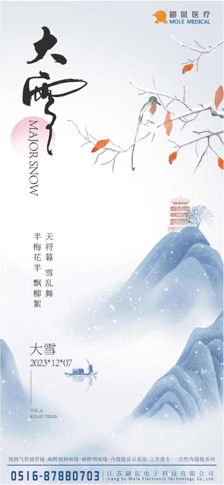 大雪節氣-可視喉鏡如何幫助維護咽喉健康？